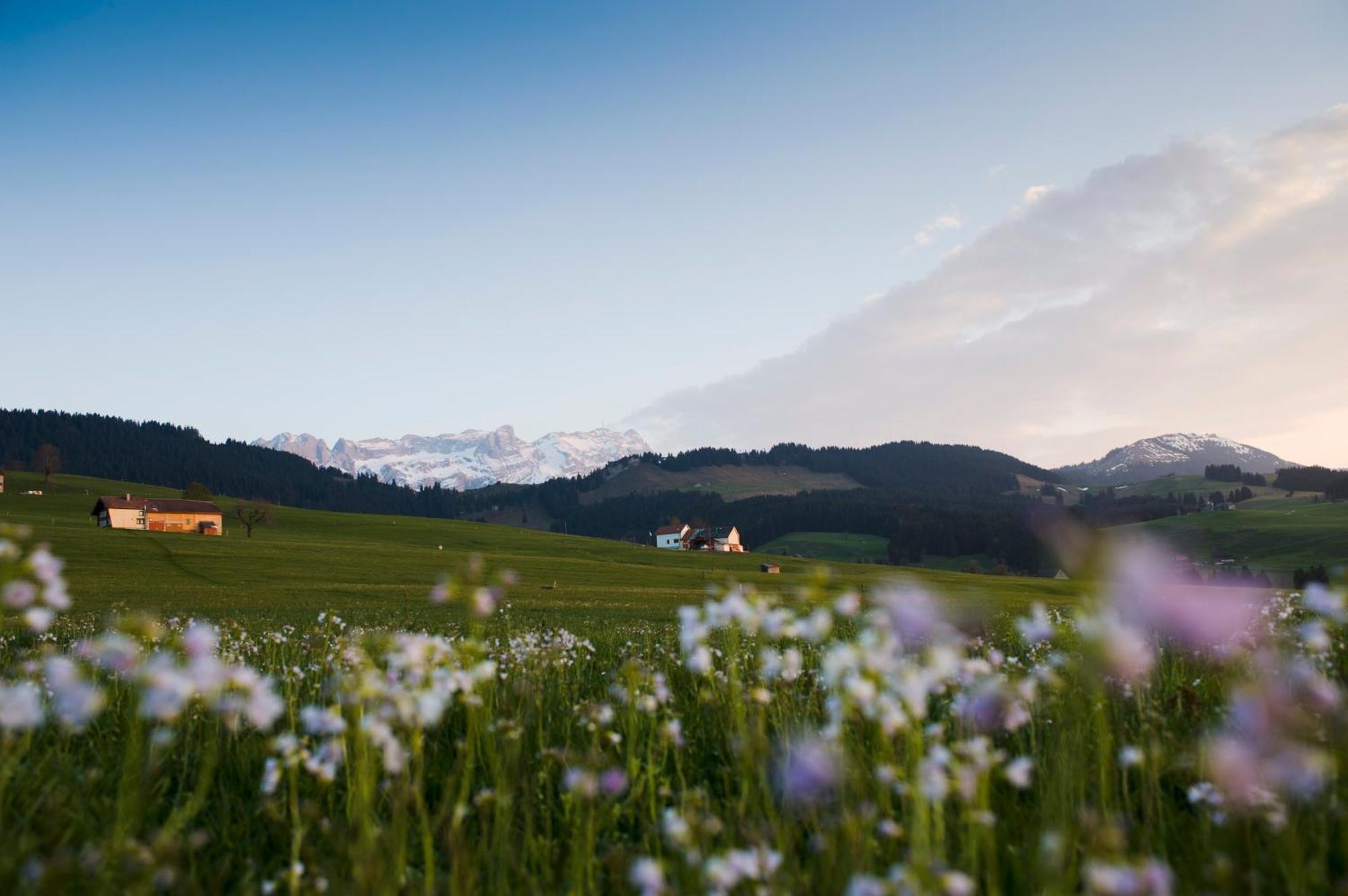 Hotel Landgasthof Eischen Appenzell Eksteriør bilde